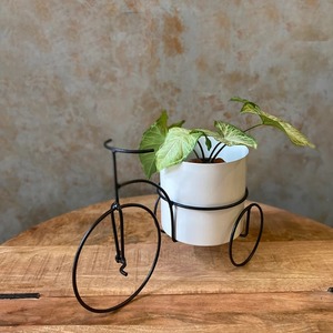 Maceta Moderna de Metal para Interiores, Diseño Creativo de Bicicleta, para Jardín, Balcón y Azotea - Product Image 2