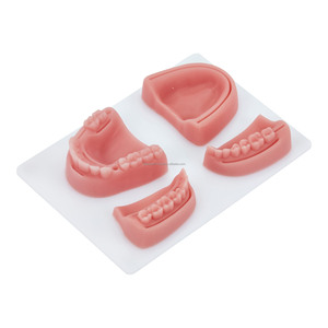 Modelo de Almohadilla de Sutura Dental de Silicona de Alta Calidad, Almohadilla de Entrenamiento Anatómico 3D para Estudiantes de Odontología, Práctica de Educación Médica - Product Image 1