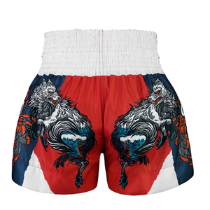 Muay Thai Shorts-Polyester Material for Boxing & Kickboxing Training - Product Image 2