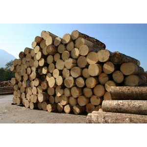 Troncos de Madera Blanda de Calidad de Exportación, Postes de Madera Natural Sólida, Ideales para Paisajismo, Cercas y Proyectos de Construcción - Product Image 1