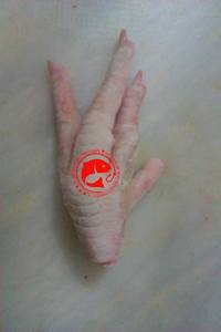 Pata de Pollo Congelada, Limpiada, Bien Procesada, Estructura Natural Resistente, para Platos Tradicionales, Origen Pakistán, 1 Año de Vida Útil - Product Image 2