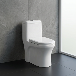 WC monobloc allongé à siphon avec abattant et accessoires, ensemble de sanitaires en céramique - Product Image 5