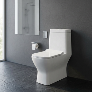 Luxury One Piece Ceramic Water Closet With Dual Flush System For Modern Middle East Hospitality Projects - Product Image 6