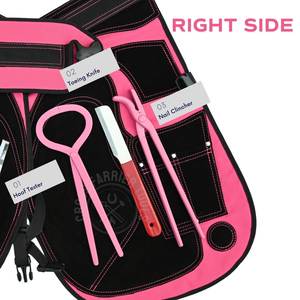 Kit de herramientas de herrador con delantal, probador de cascos, escofina para cascos, clavillador de cascos, cuchillo para separar los cascos, alicate para abscesos, cuchilla estrecha y cuchillo de doble cara - Product Image 4