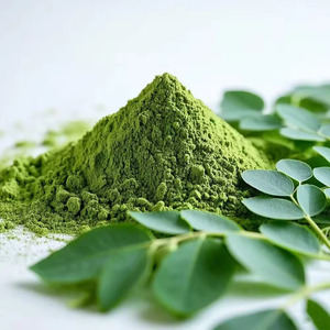 Poudre de feuilles de Moringa biologique pour l'approvisionnement en produits naturels, poudre de feuilles vertes fines pour les applications alimentaires et de boissons - Product Image 4