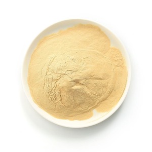 Levure Fraîche Transformée en Complément Alimentaire pour Animaux, Favorisant la Croissance et la Nutrition Animale, Approvisionnement en Vrac pour l'Exportation, Poudre de Qualité - Product Image 4