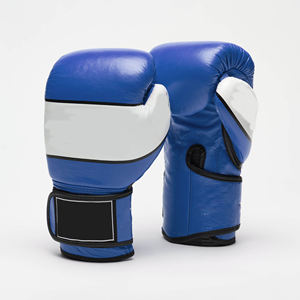 Gants de boxe rembourrés confortables de qualité supérieure en cuir pour jeunes, idéaux pour le sport et le combat - Product Image 1