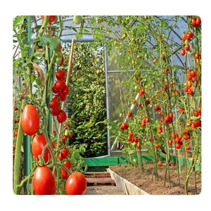 Fiberglass <b>Poles</b> Solid <b>Garden</b> Stakes Fence Post Solid Fiberglass Rod <b>Pole</b> - Product Image 2
