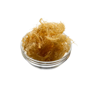 Fabricante de Musgo Marino Seco Silvestre de Vietnam, OEM, Marca Privada, Venta al por Mayor, Proveedor de Exportación - Product Image 3