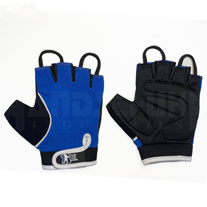 Gants de musculation professionnels bleus et noirs avec rembourrage amélioré de la paume |   Poignée antidérapante de qualité supérieure pour un équipement de musculation ultime - Product Image 1