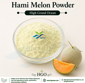 HGO Factory Direct Supply of Pure Natural Hami Melon Powder (Food Grade) Fruit powder Spray Drying or Freeze-dried powder - Product Image 1