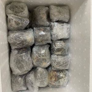 Excelente Relación Calidad-Precio 2026: Cubierta de Concha Marina Limpet Shell para Recolección de Leche y Soporte para la Lactancia - Product Image 2