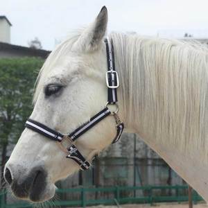 Nuevas llegadas: Cabestros para caballos con hebilla ajustable, de nailon y cuero, de la mejor calidad, cómodos, ligeros, duraderos y resistentes. - Product Image 6