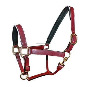 Meilleure qualité Adams International Brown Forte Durable Cheval Licol Doux et réglable Offre grossiste - Product Image 1