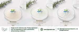 Suministro directo de fábrica de HGO extracto de romero natural puro (Rosmarinus officinalis) ácido carnósico 50% (extracto estandarizado) - Product Image 2