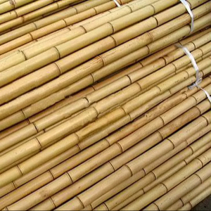 Fábrica de Varas de Bambú en Vietnam – Precios Competitivos para Compradores Globales - Product Image 1