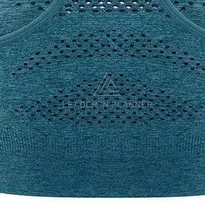 Soutien-gorge de sport pour femme, soutien-gorge de yoga rembourré, soutien-gorge de fitness sans couture, soutien-gorge push-up pour femme, en vente en ligne - Product Image 6