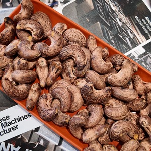 Noix de cajou salées et grillées du Cambodge, qualité W320, biologiques, qualité supérieure pour les marchés d'exportation, avec service OEM/ODM disponible - Product Image 1