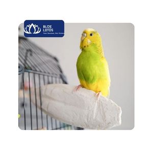 [MEJOR VENTA] Hueso de Sepia para Aves, Peces, Patos y Serpientes - 100% Natural, Alto en Proteínas, Sin Granos, Uso Diario en Jaulas para Aves, Ninh - Product Image 1