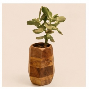 Handcrafted Geometric <b>Wooden</b> Succulent Planter Eco-Friendly Natural <b>Solid</b> Wood Flower Pot Modern Indoor <b>Desk</b> Decorative Vase - Product Image 6