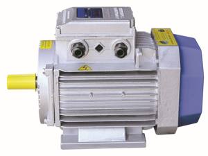 Moteur AC monophasé OEM 220V 50/60Hz Boîtier en fonte Enroulement en cuivre IP55 Étanche aux gouttes - Product Image 4