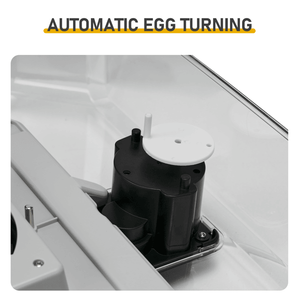 Fully Automatic <b>Egg</b> Turner for Optimal Incubation in <b>Egg</b> <b>Incubators</b> - Product Image 5