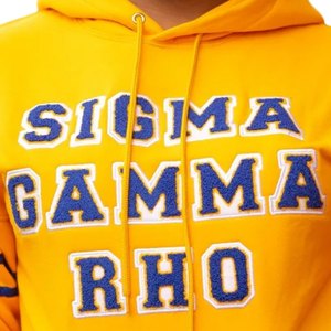 Sweat-shirt à capuche unisexe Sigma Gamma Rho Gold, détails bleus, style streetwear décontracté, confort premium - Product Image 4