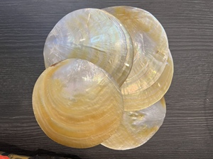 Vietnam Natural Mother of Pearl <b>Discs</b> Golden Iridescent Seashell for Dessert Plates Caviar Holder Jewelry Storage Home Decor - Product Image 5