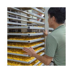 Tranches de Jackfruit Biologique Séché, Fruit Jaune Sucré, Prêt à Consommer, Emballage en Vrac - Product Image 3