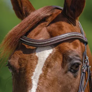 Italian Leather Horse Bridle <b>Equestrian</b> Horse Riding Genuine Leather Horse Bridle - Product Image 4