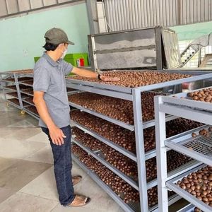 NUEVO PRODUCTO: Nueces de Macadamia Premium Ecológicas y Sostenibles, Crujientes, para la Industria Alimentaria - Product Image 5