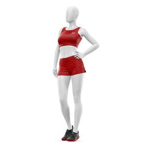 Conjunto Deportivo para Mujer, Brasier Deportivo Sin Costuras, Pantalones Cortos de Ciclismo, Yoga, Fitness, Secado Rápido, Alta Elasticidad, Ropa Deportiva, Fábrica OEM ODM - Product Image 2