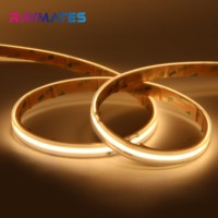 Éclairage extérieur aux tons chauds 220v Ip65 IP67 étanche, bande LED haute tension adressable COB, bande LED haute tension
