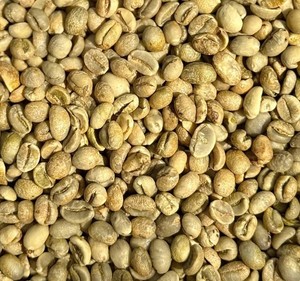 Vietnam Arabica Green Coffee <b>Beans</b> Size 16 Vietnam pure instant coffee Bulk Export Organic coffee Sustainable Coffee Supplier - Product Image 2