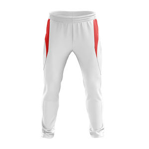 Ensemble d'uniformes de cricket personnalisés 100 % polyester, maillot et pantalon imprimés par sublimation, kit d'équipe, vente en gros OEM - Product Image 6