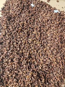 Anis étoilé entier séché, épice brute du Vietnam pour la cuisine et l'usage herbal, avec une durée de conservation de 24 mois - Product Image 5