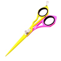 Ensemble de ciseaux de coiffure professionnels pour salon de coiffure avec manche personnalisé en acier inoxydable argenté 6,0 pouces Beauté