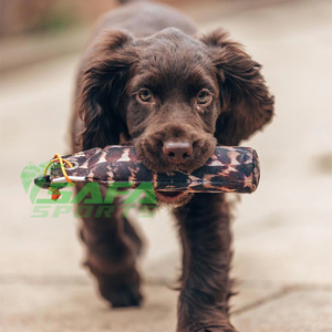 Pheasant <b>Dummy</b> For Gun Dogs Training Equipment Firehose <b>Dummy</b> with Pheasant Print for Pet Training - Product Image 1