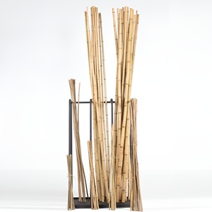 Natural Bamboo <b>Pole</b> Made in Vietnam Bamboo <b>Poles</b> Plant Raw Material <b>for</b> <b>Gardening</b> and Farming - Product Image 2