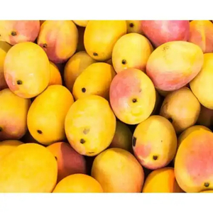 Mangue vietnamienne fraîche - Fruit tropical de haute qualité - Mangue d'exportation premium - Product Image 4