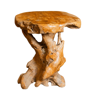 Table basse en teck rustique artisanale de style antique ARTERRA Premium Durable pour salon - Product Image 1
