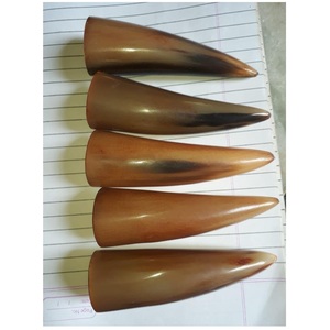 Puntas de Cuerno de Vaca Auténticas de Alta Calidad, Ecológicas, Pulimentadas, Material Orgánico, Decoración Europea para Bodas, Regalo Artístico - Product Image 5