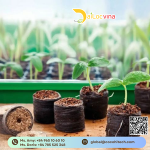 COCO COIR PELLET GRAINES STARTER PELLET FOURNIT LES GRAINES AVEC LE SOL DE DÉPART OPTIMAL - Product Image 5