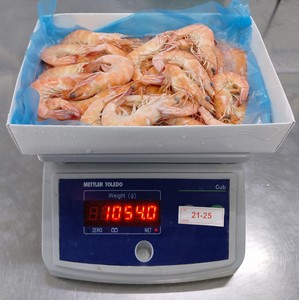 Camarón Vannamei de Vietnam, tamaño 21/25, entero, congelado, con cabeza, 23 + bolsa de color, embalaje, procesado sin cabeza - Product Image 5