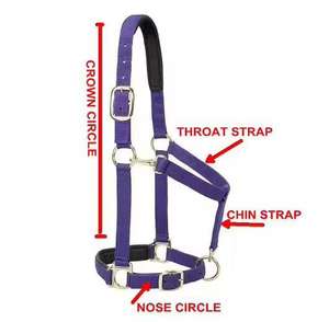 Brida de cuero para caballo con accesorios de montura inglesa y protección de madera - Product Image 5