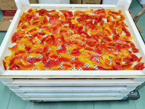 Papaya Seca Suave de Vietnam, Rebanadas de Fruta Tropical Dulce Natural, Venta al Por Mayor a Granel, Bajo MOQ, Mejor Precio - Sra. Tarina - Product Image 6