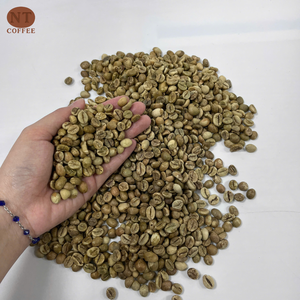 Granos de Café Verde Robusta de Origen Vietnamita, Marca Privada, Granos de Café Verde Robusta de Vietnam, Café Crudo con Alto Contenido de Cafeína - Product Image 2