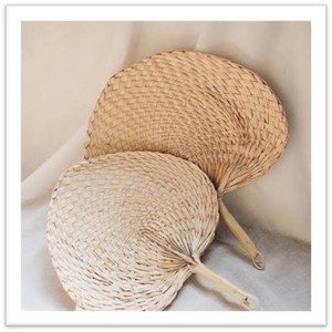 Abanico de Hoja Vietnamita Tradicional Hecho a Mano con Hoja de Palma Natural, Abanico Ligero y Rústico para Eventos Tropicales y Bodas - Product Image 1