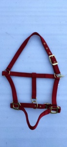 Halter de Nailon de Alta Calidad para Caballos y Mulas con Correa a Juego, Resistente, Duradero y en Colores Vibrantes, Disponible en Todos los Tamaños - Product Image 4