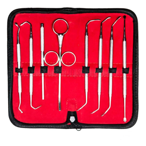 Instrumentos Bone Bridge: Juego de 8 instrumentos para elevación de senos, de acero inoxidable, certificado CE, de alta calidad, de doble punta, para implantes dentales - Product Image 1
